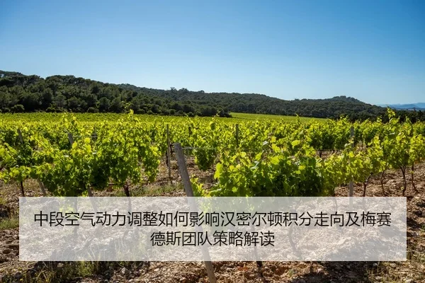 中段空气动力调整如何影响汉密尔顿积分走向及梅赛德斯团队策略解读